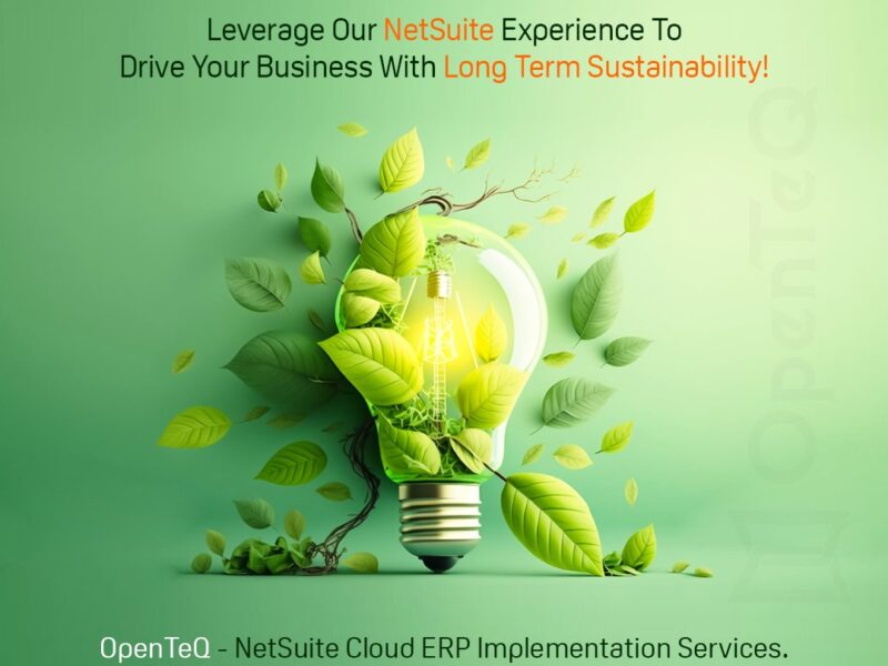 OpenTeQ NetSuite Implementation Team | Certified NetSuite Partner